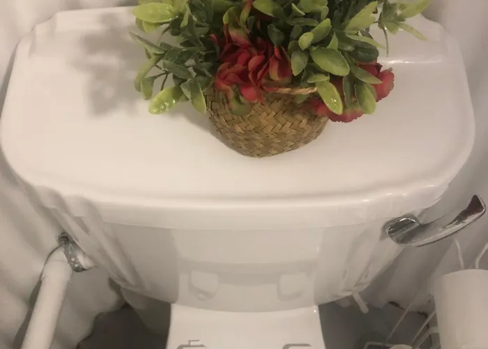 Bob's Appartement Galway