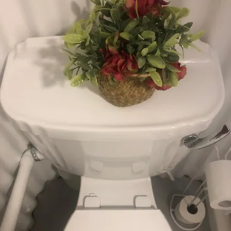 Bob's Apartment Galway